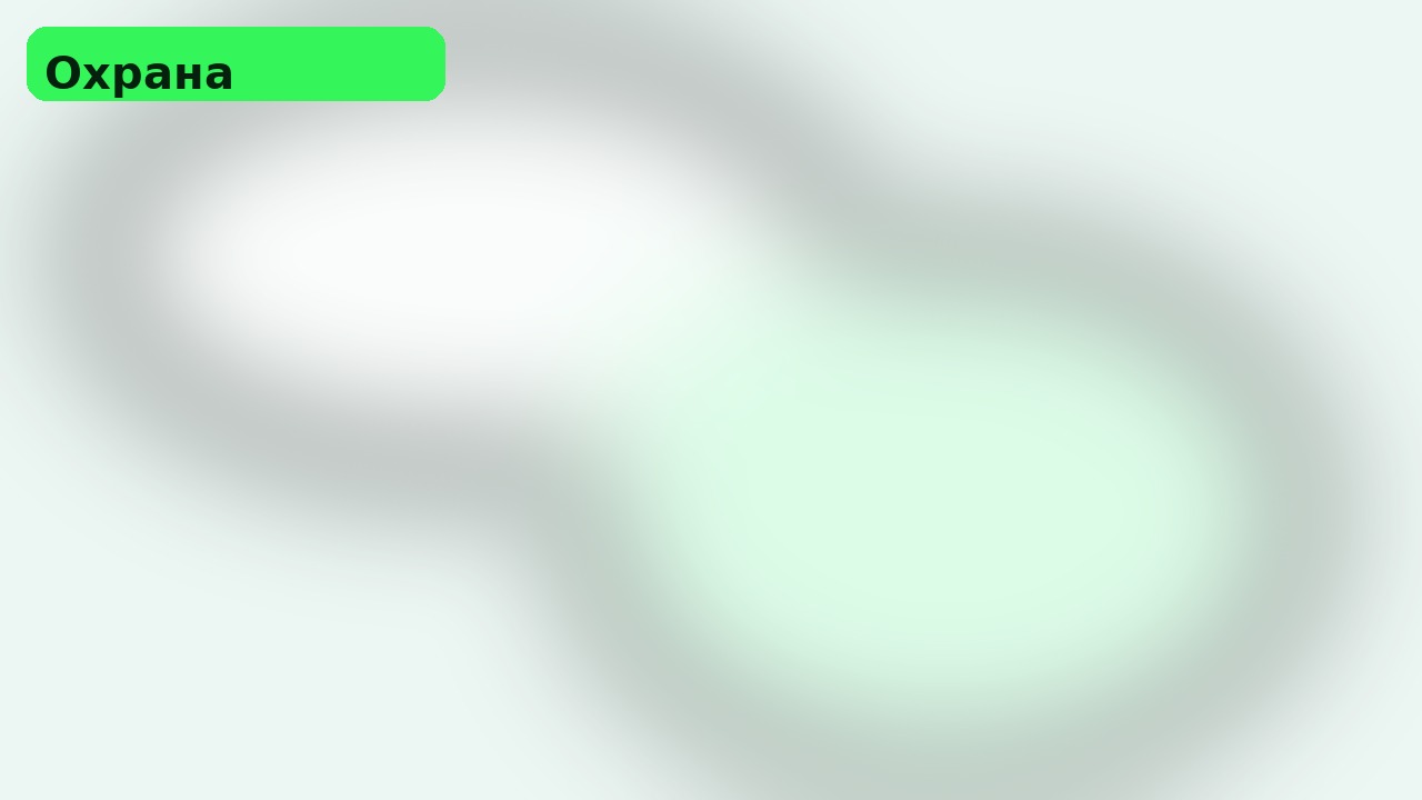 Безопасность и доступ